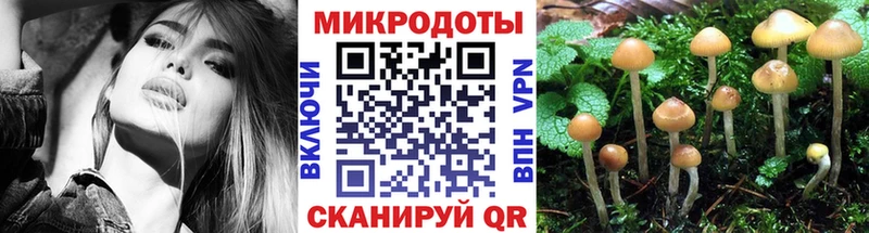 Псилоцибиновые грибы мухоморы  Ессентукская 